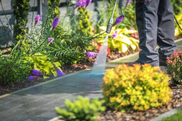 Best House Exterior Washing  in West Islip, NY